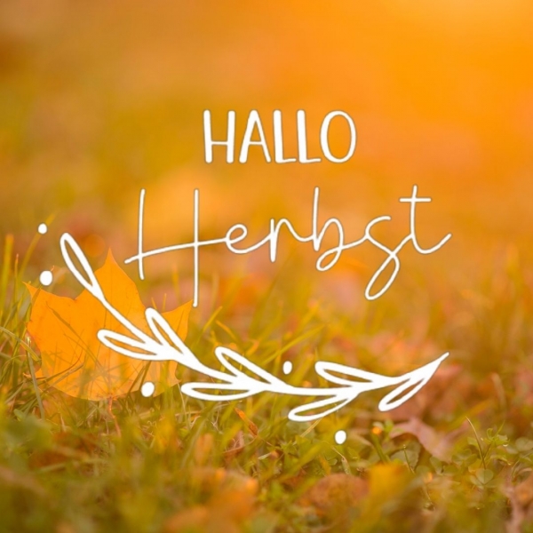 Vinyl Sticker Hallo Herbst